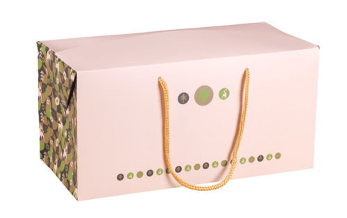Image du produit Sac Boxbag Ravenne papier pelliculé mat vert/or/beige 310gr, 36x17x18cm