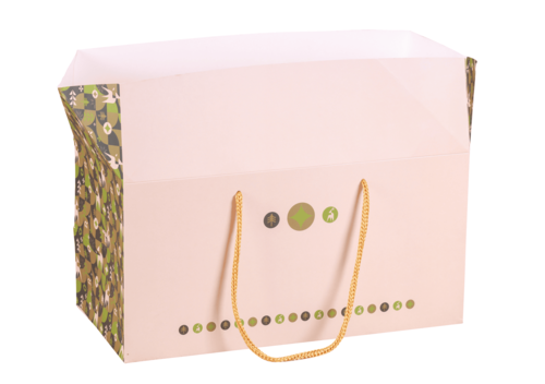 Image du produit Sac Boxbag Ravenne papier pelliculé mat vert/or/beige 310gr, 36x17x18cm