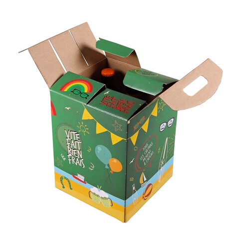 Image du produit Valisette Box Ballina carton vert décoré 9 bières 33cl